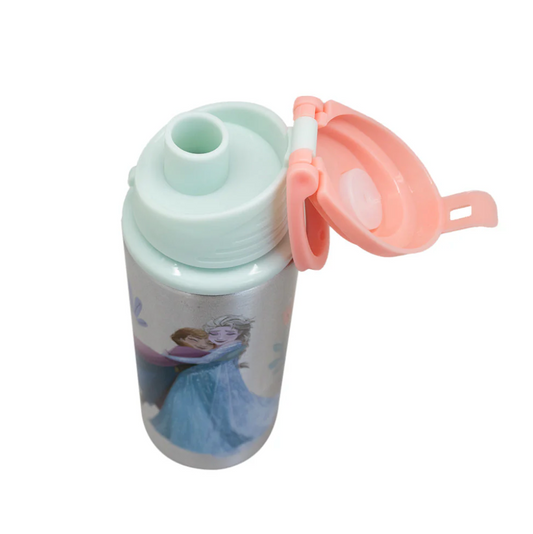 Botella Metalica Frozen