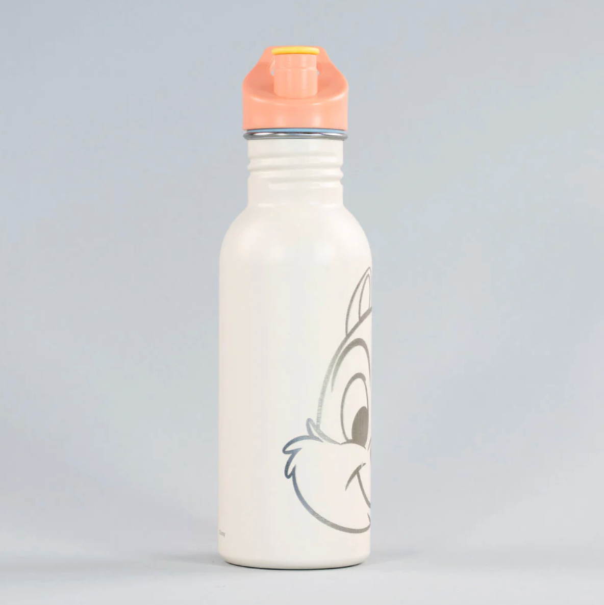 x Mayor Botella Metalica Chip y Dale 600ml Summer Disney