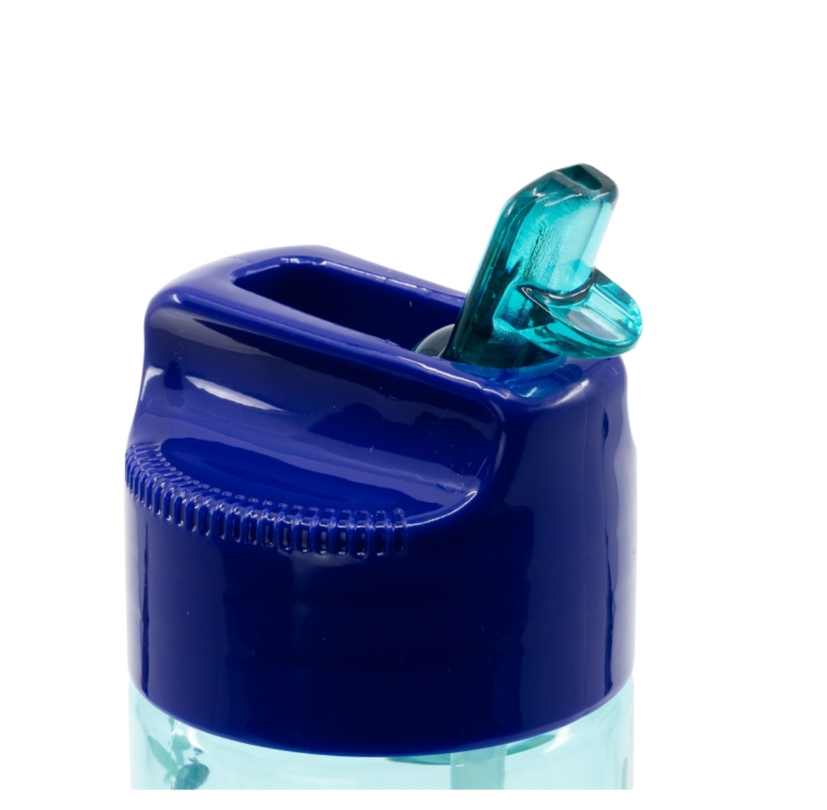 Botella Ecozen Bluey