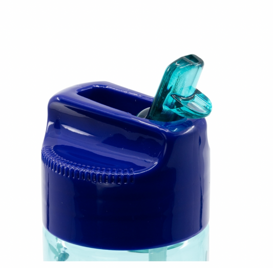 Botella Ecozen Bluey