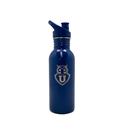x Mayor Botella Metalica 600 Ml U De Chile