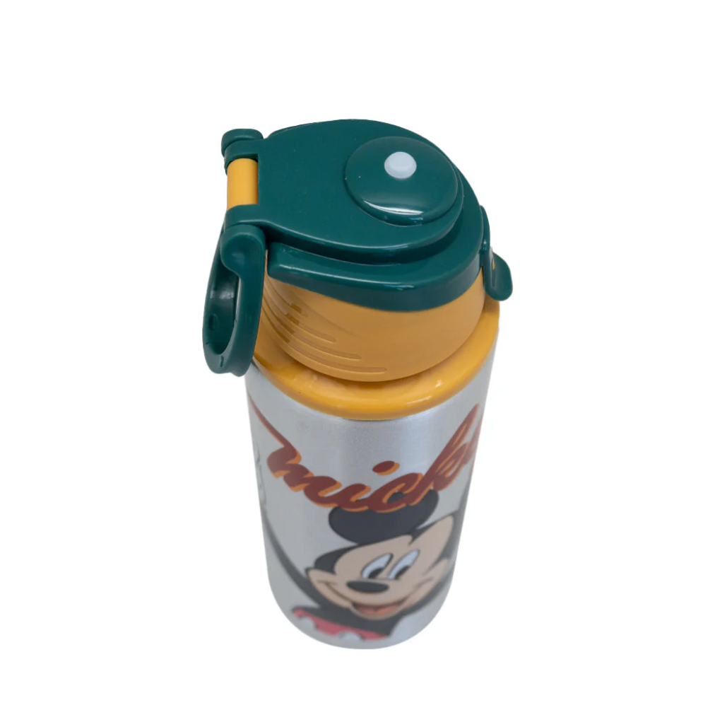 Botella Metalica Licencias