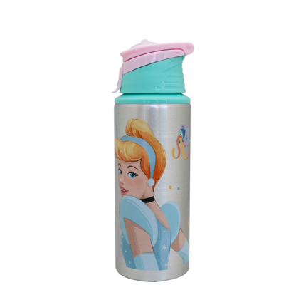 Botella Metalica Licencias