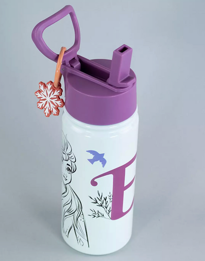 Botella Vaccum Frozen 500 Ml