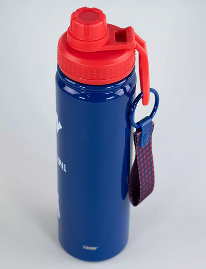 Botella Vaccum Capitan America 750 Ml