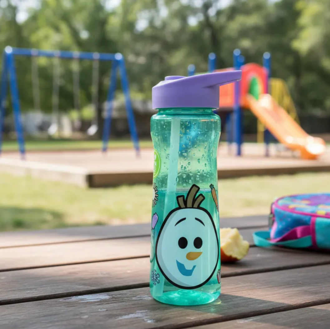 Botella Curva Frozen 600ml