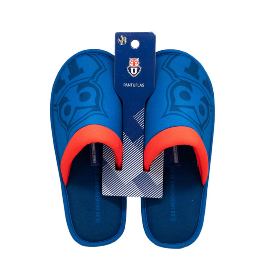 Pantuflas U de Chile